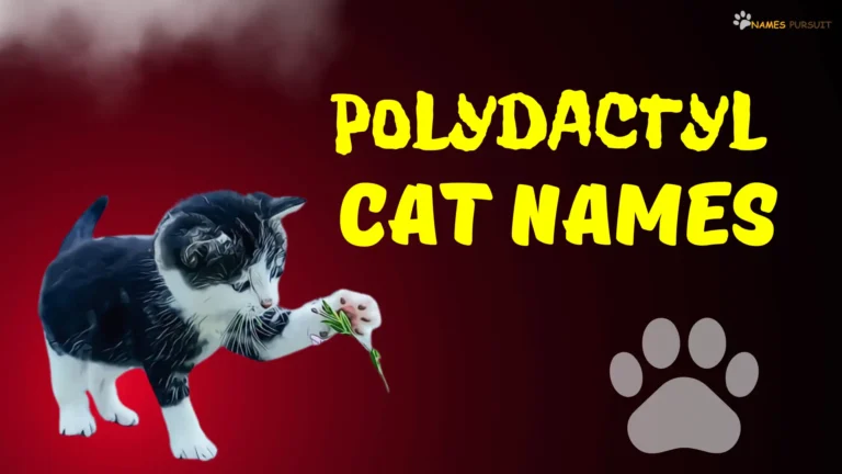 Polydactyl Cat Names