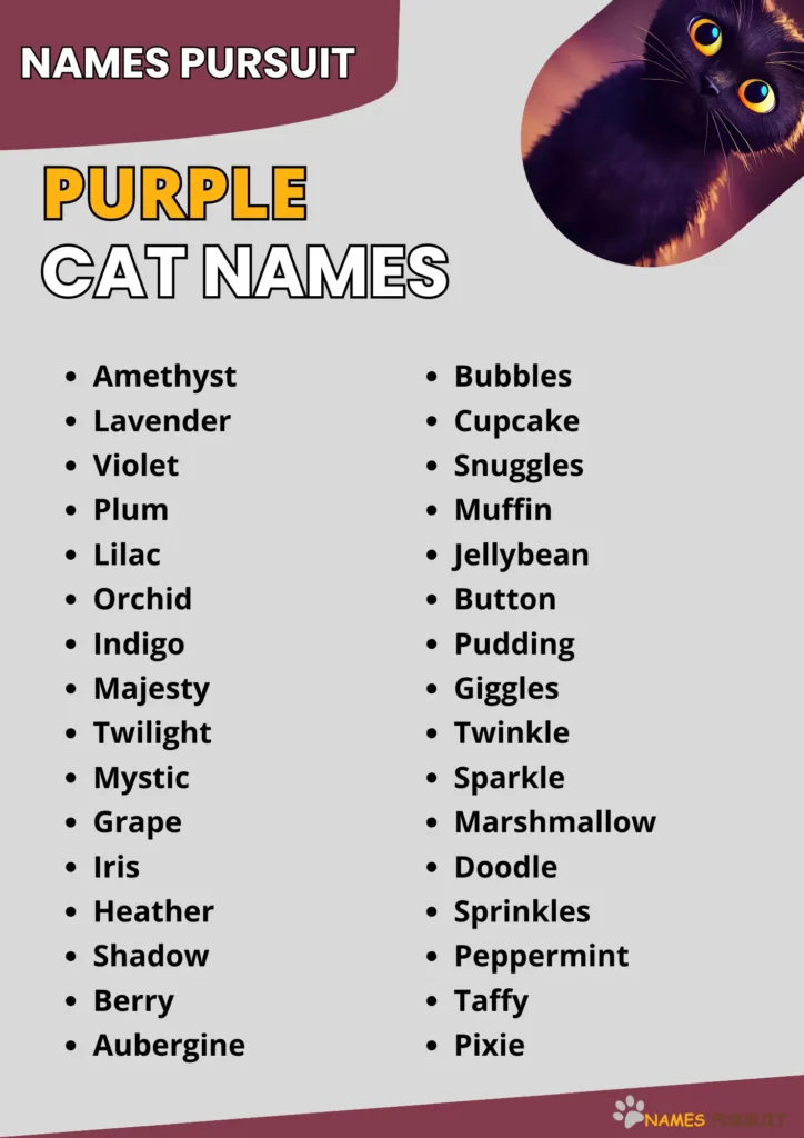 Purple Cat Names infographic