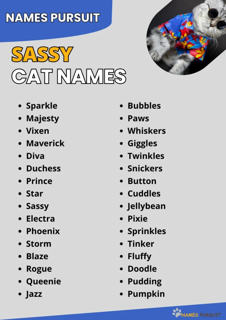 Sassy Cat Names Ideas