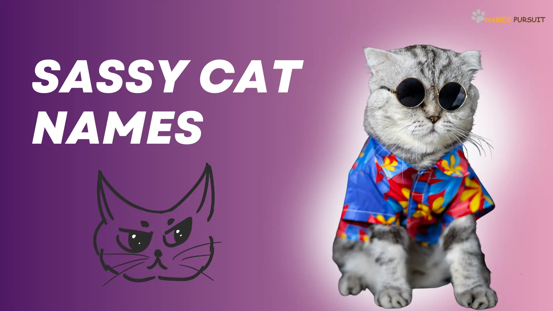 sassy-cat-names-400-funny-bold-fiesty-ideas