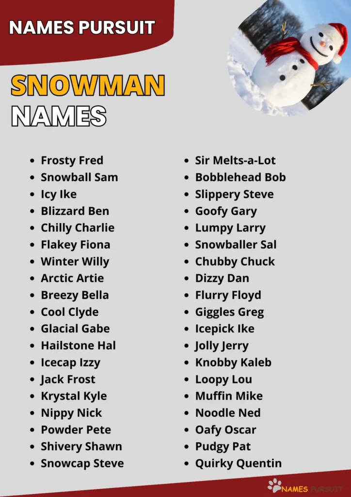 Snowman Names infographic