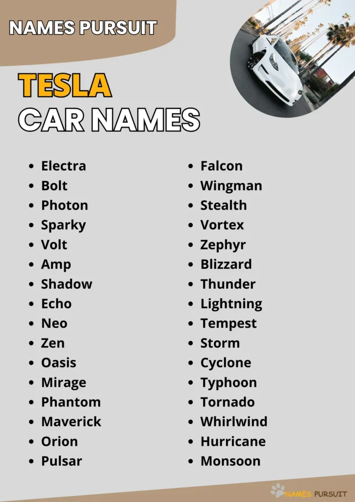 Tesla Car Names infographic