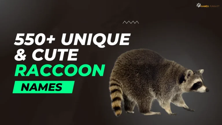 Unique & Cute Raccoon Names