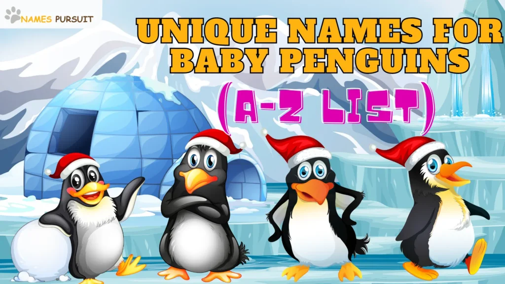 Unique Names for Baby Penguins (A-Z List)