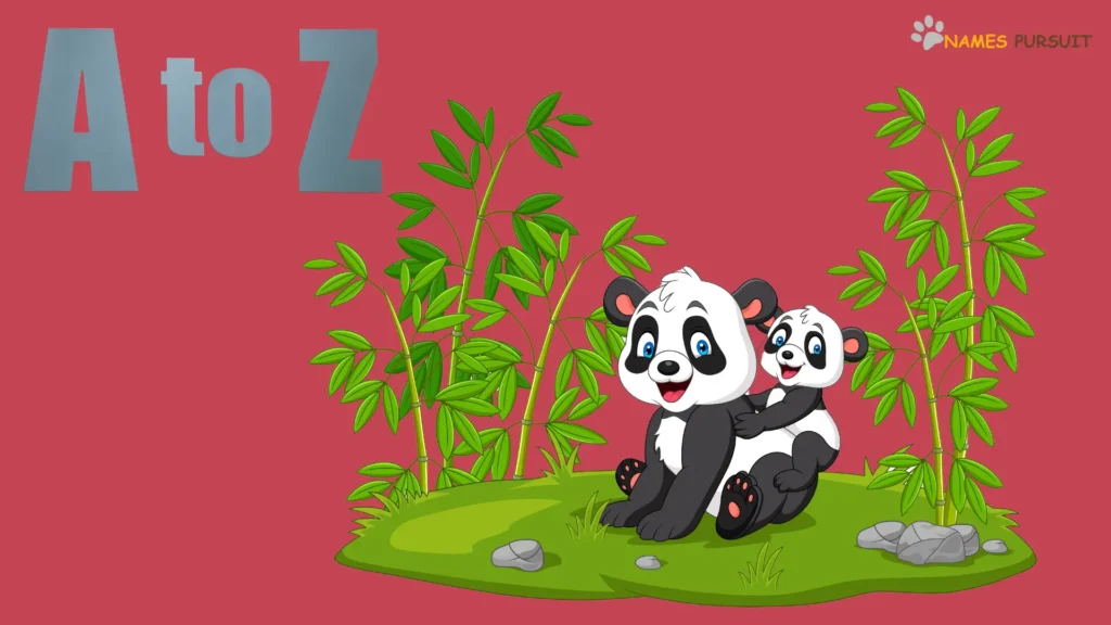 Unique Panda Names From A to Z