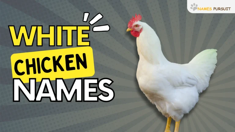 White Chicken Names