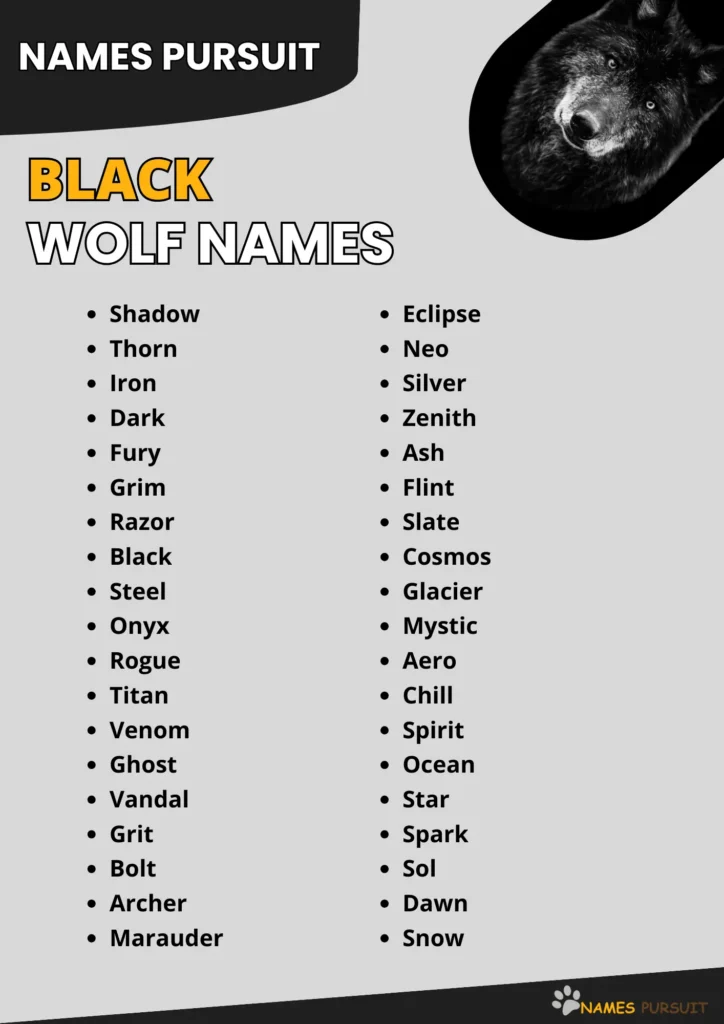 Badass Black Wolf Names Ideas