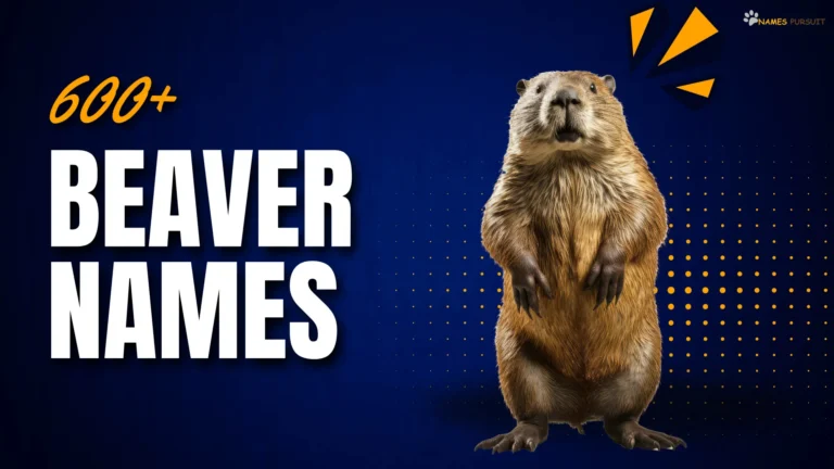 Beaver Names