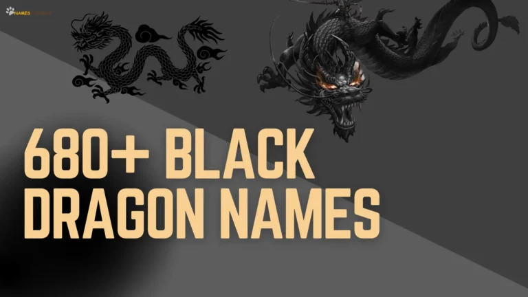 Black Dragon Names