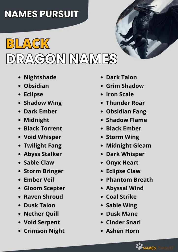 Black Dragon Names Ideas