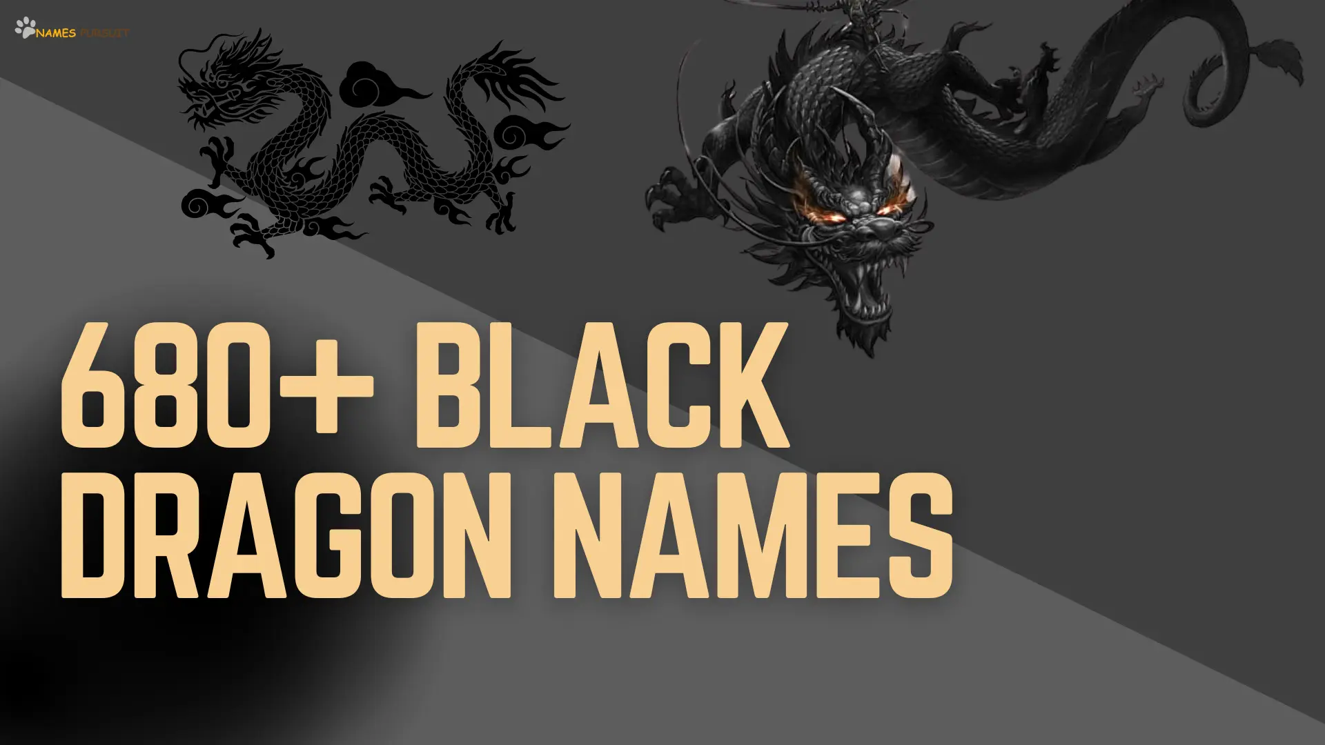 680+ Black Dragon Names (Unique, Cool, & Bold Ideas)