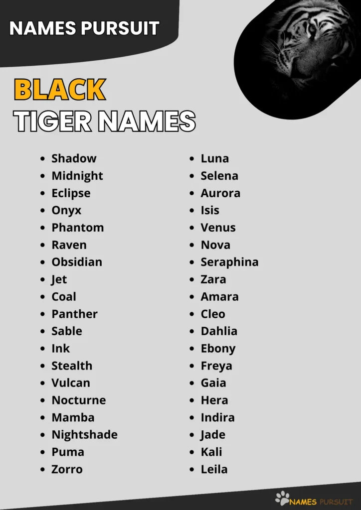 450 Cool Cute Funny Black Tiger Names