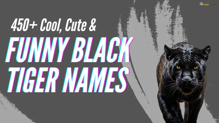 Cool, Cute, & Funny Black Tiger Names