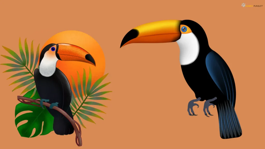 Cute Names for Toucan