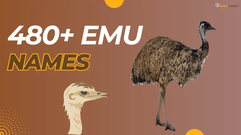 Emu Names