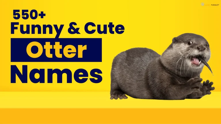 Funny & Cute Otter Names