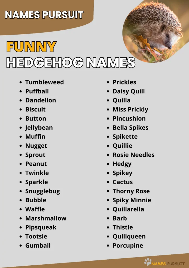 Funny Hedgehog Name Ideas
