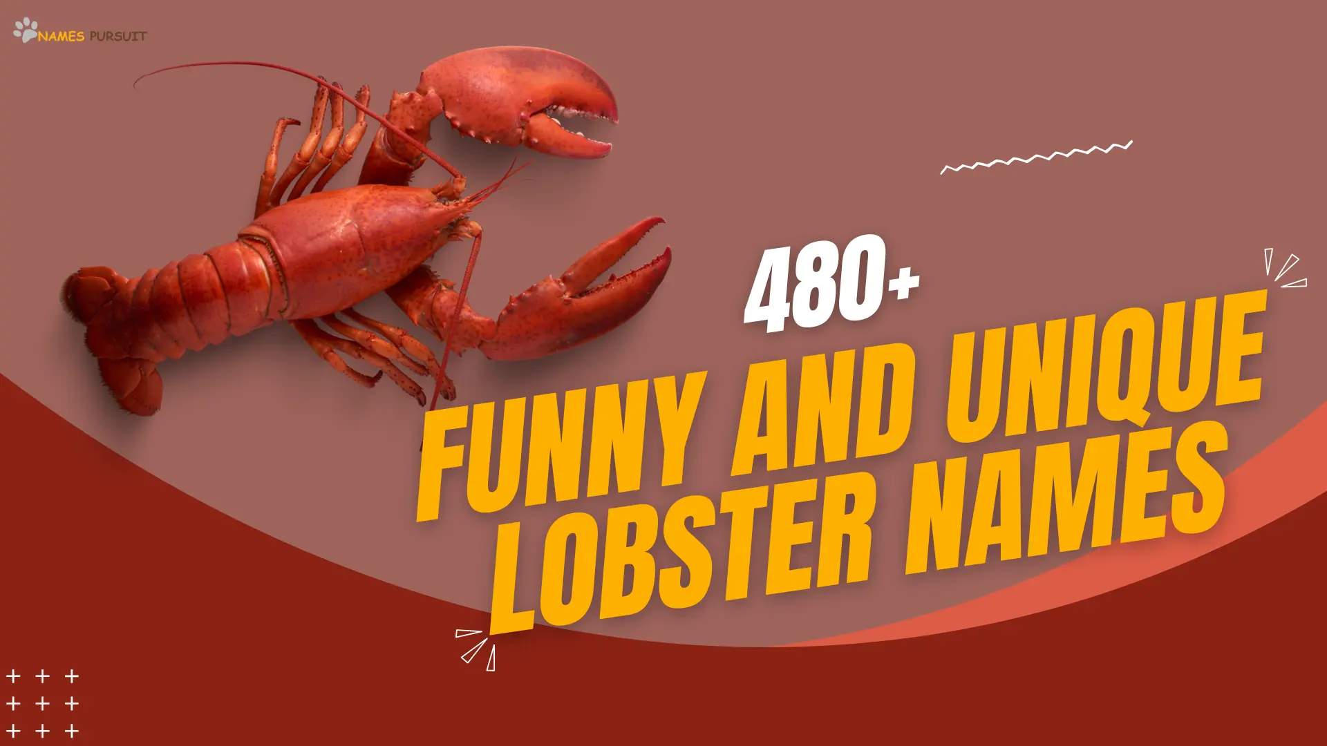 480+ Cool, Funny and Unique Lobster Names