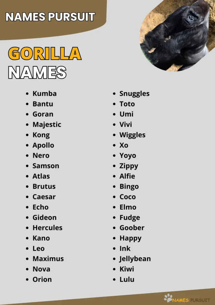 Good Gorilla Names Ideas