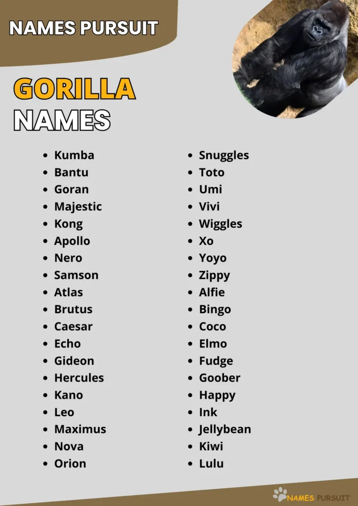 Gorilla Names 500 Ideas For Baby Male Female 
