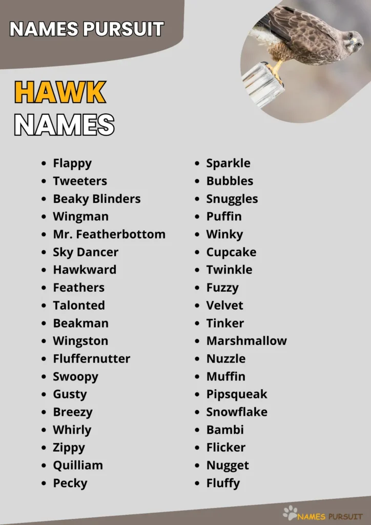 Good Hawk Names