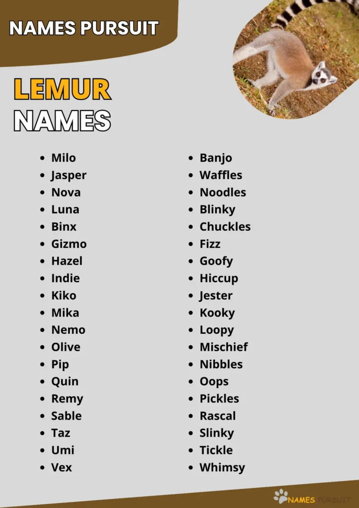 Lemur Names Ideas