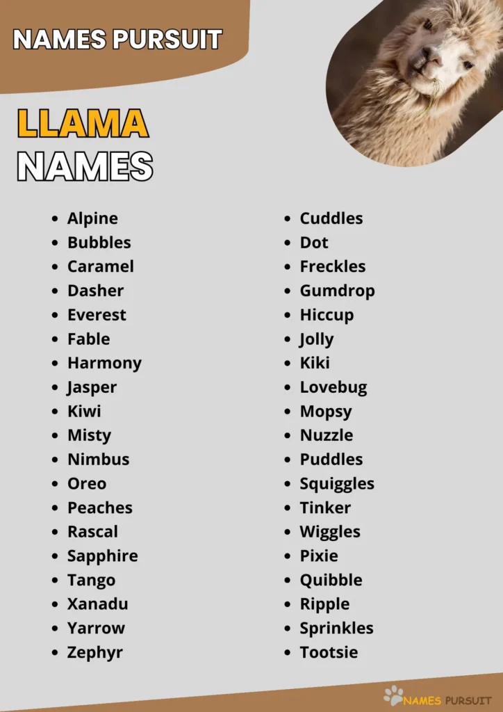 Llama Names infographic