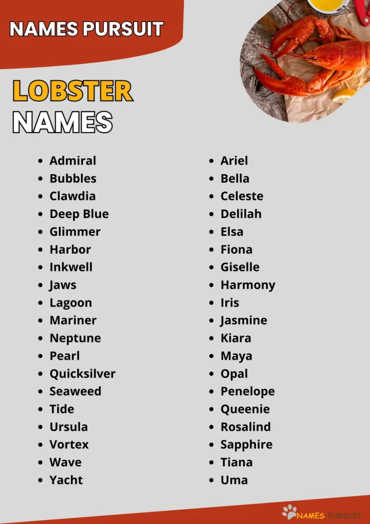 480+ Cool, Funny and Unique Lobster Names
