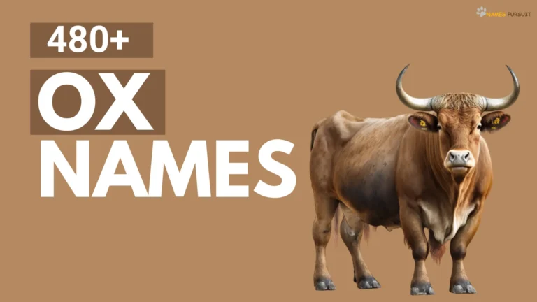 Ox Names