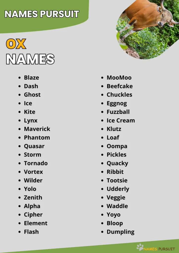Ox Names Ideas