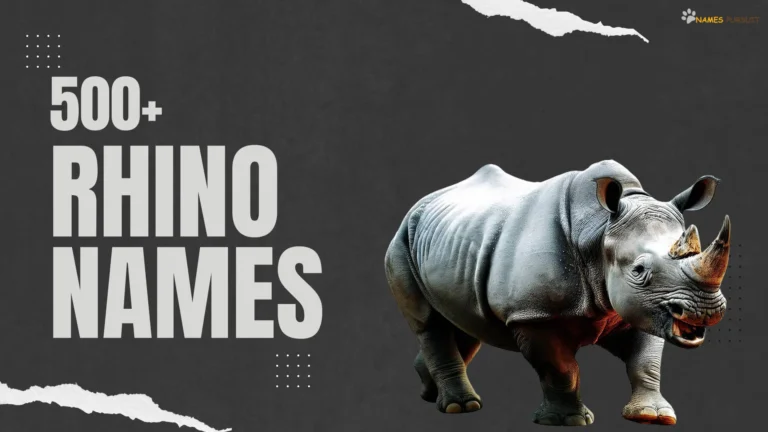 Rhino Names