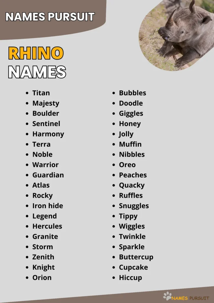 Best Rhino Names Ideas