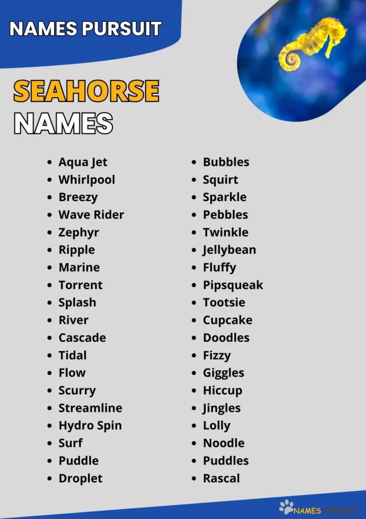 Best Seahorse Names
