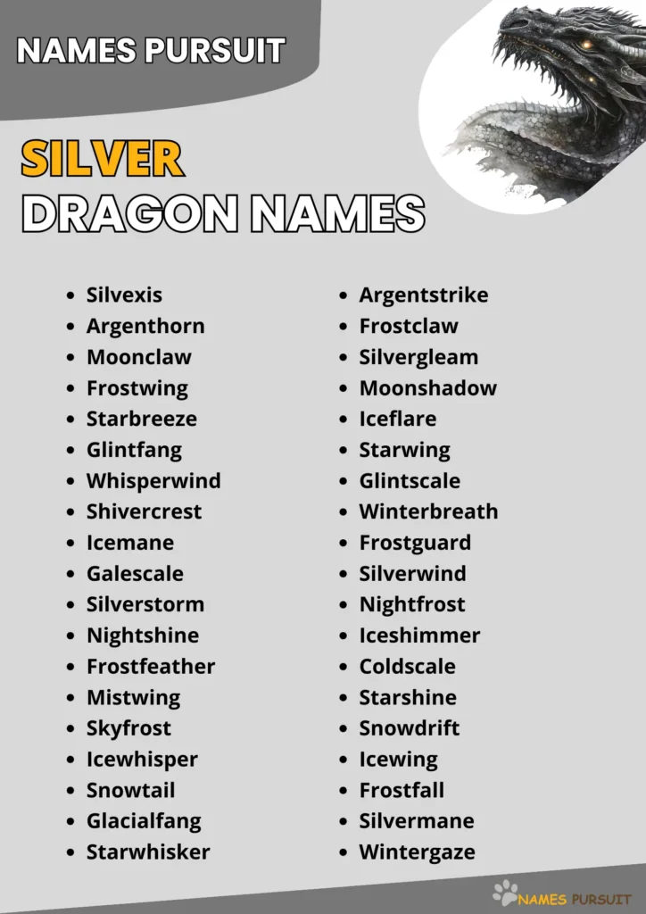 Silver Dragon Names infographic