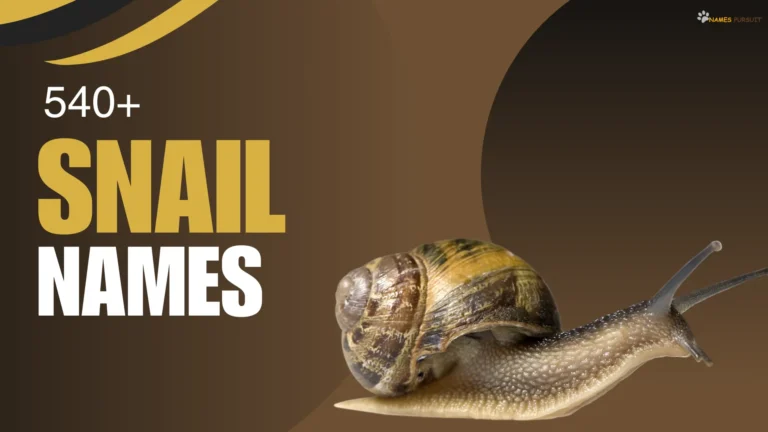 Snail Names