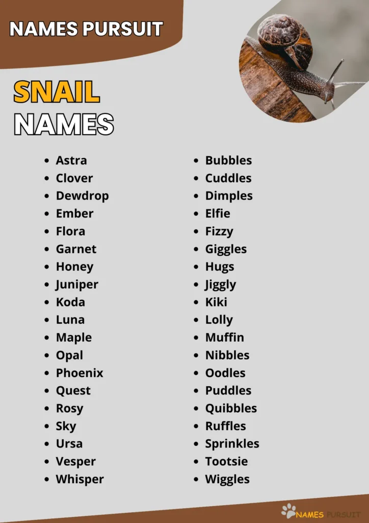 Good Snail Names Ideas