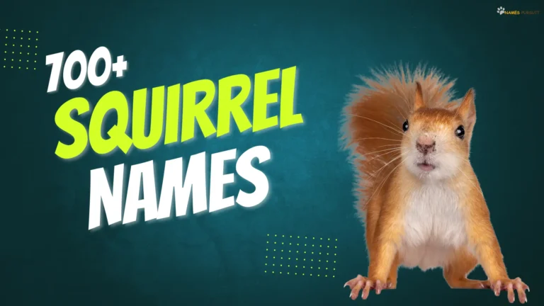 Squirrel Names
