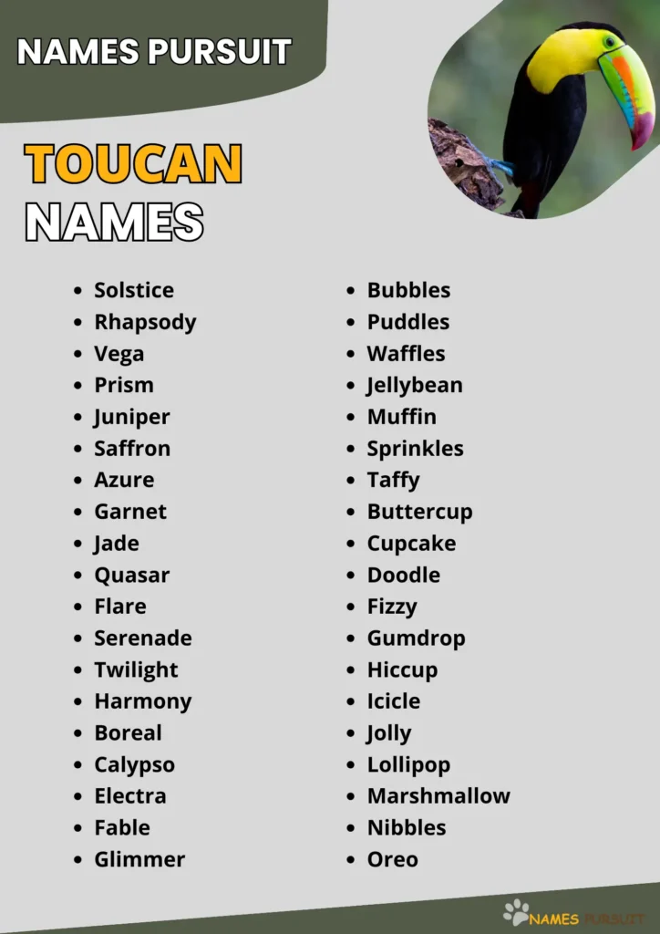 Best Toucan Names