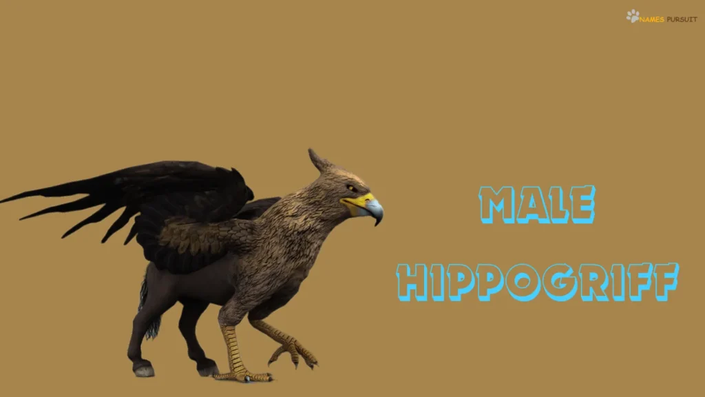 Unique Male Hippogriff Names