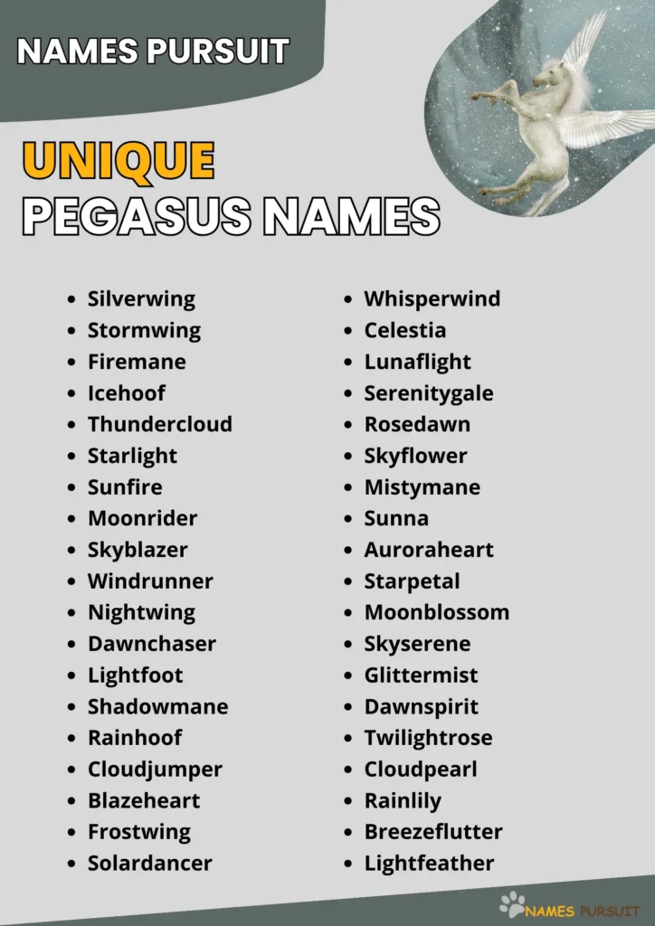 Unique Pegasus Names infographic by NamesPursuit
