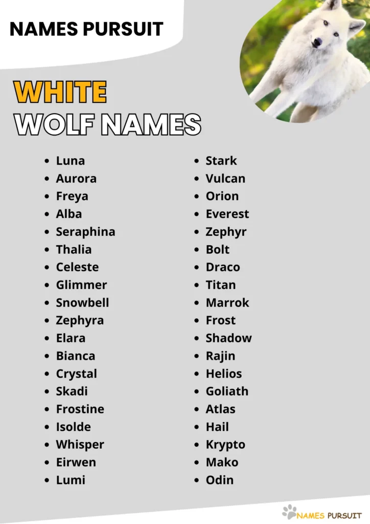 White Wolf Names Ideas