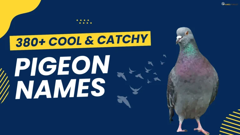 Cool & Catchy Pigeon Names