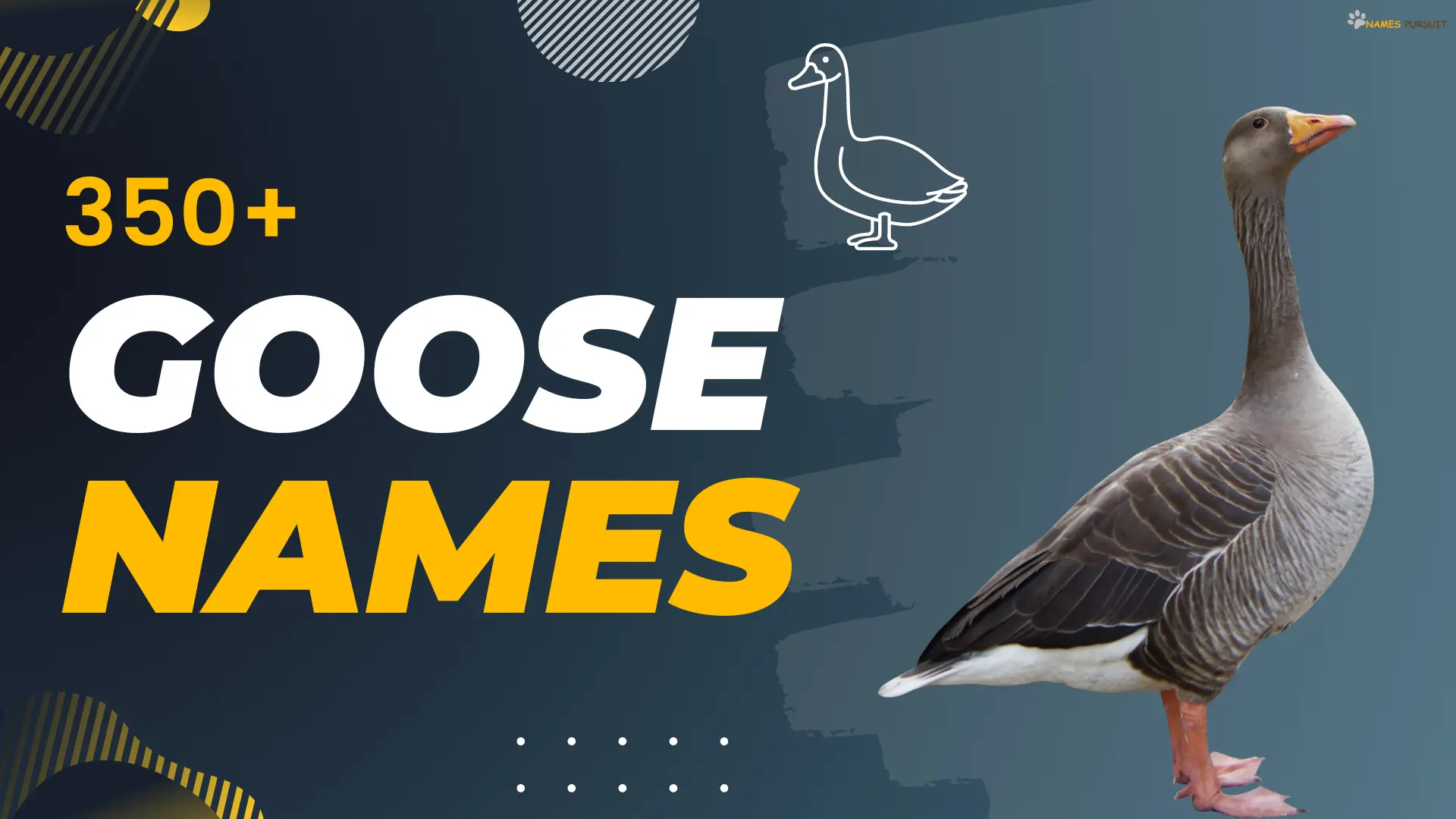 Goose Names [530+ Unique, Funny & Trendy Ideas]