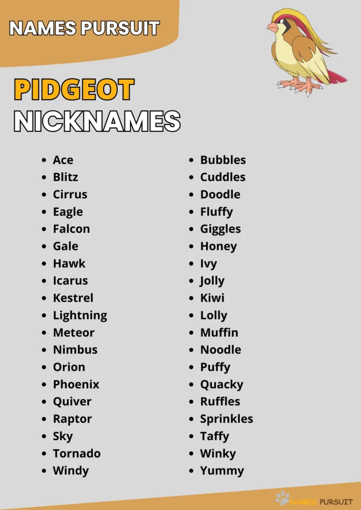 Pidgeot Nickname Ideas