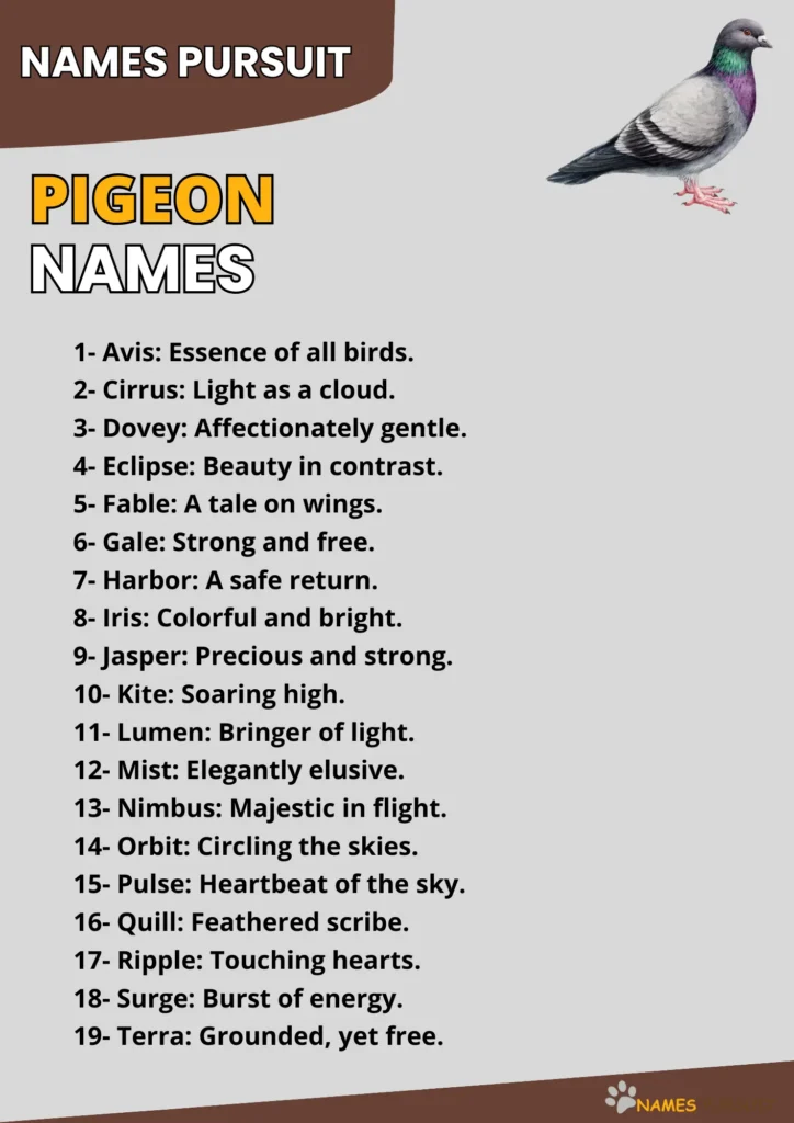 Pigeon Name Ideas
