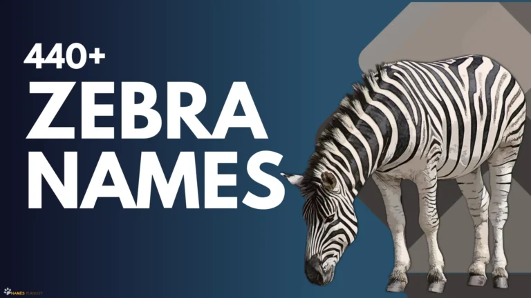 Zebra Names