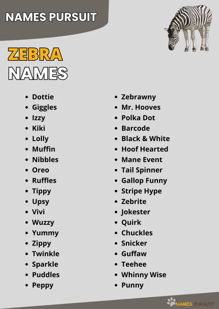 Best Zebra Name Ideas